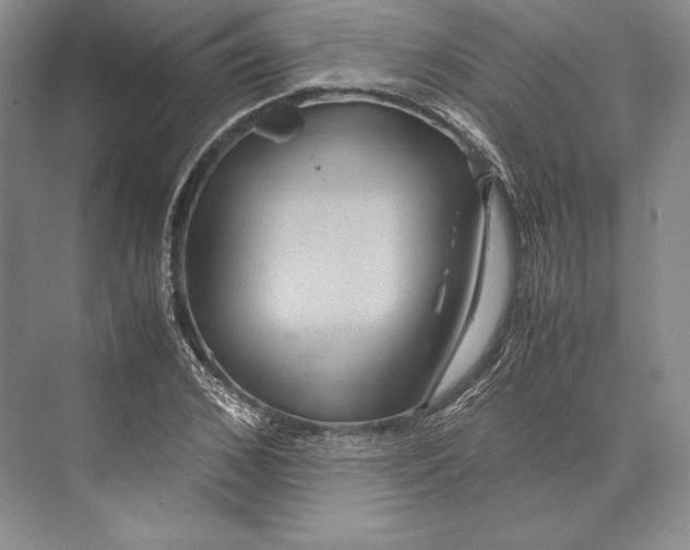 X0000072520976200608111716