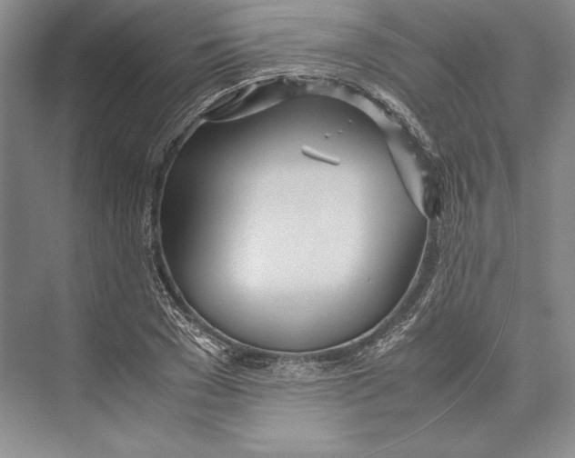 X0000072520977200608111716