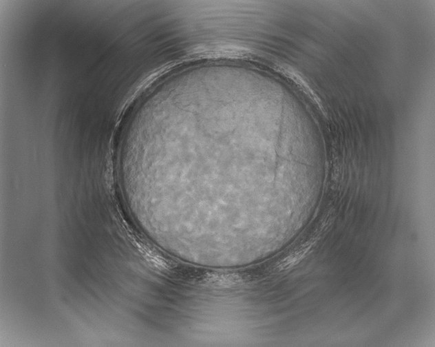 X0000072520978200608111716