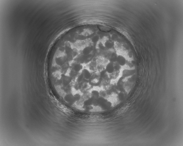 X0000072520979200608111716