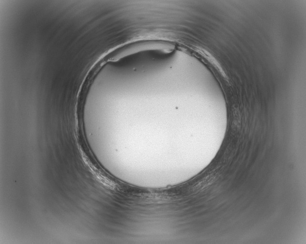 X0000072520980200608111716