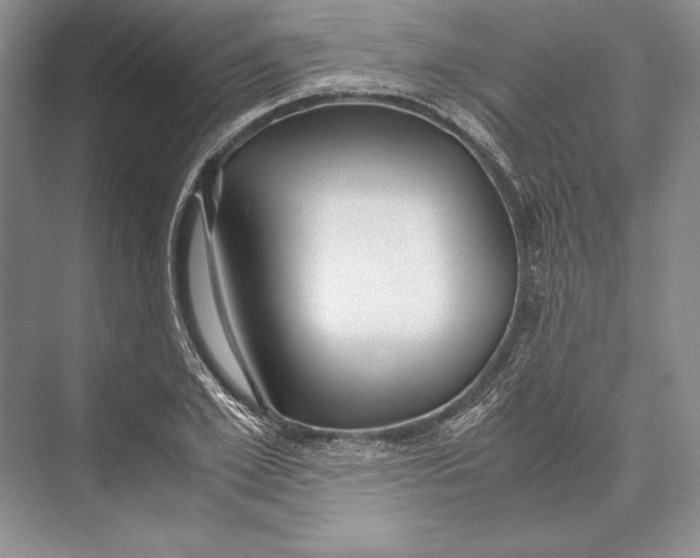 X0000072520981200608111716