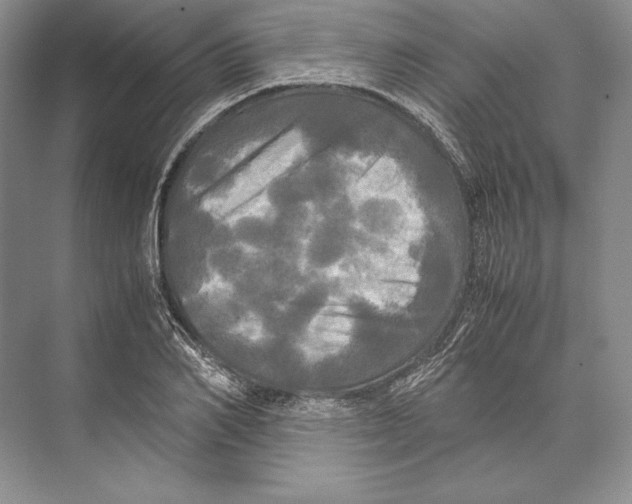 X0000072520982200608111716