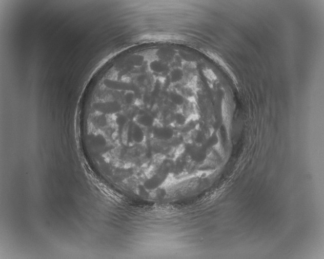 X0000072520983200608111715