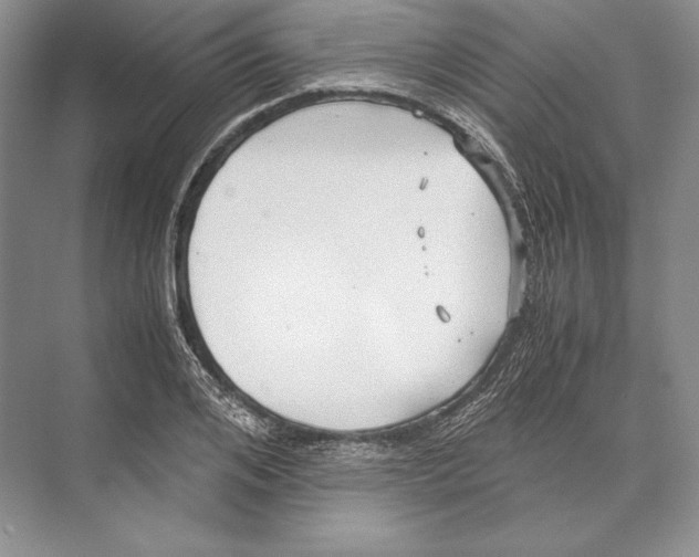 X0000072520984200608111715