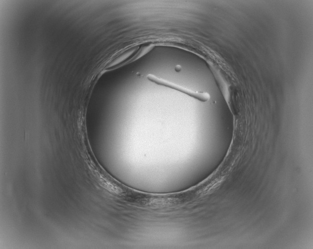 X0000072520985200608111715