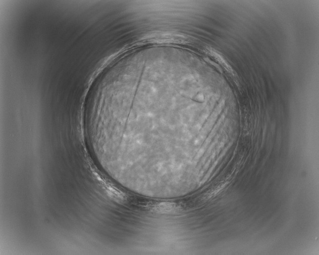 X0000072520986200608111715