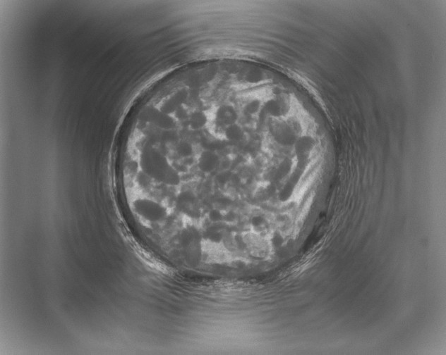 X0000072520987200608111715