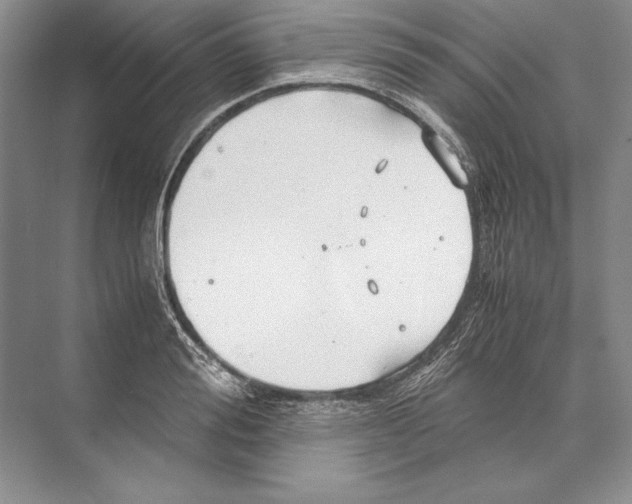 X0000072520988200608111715