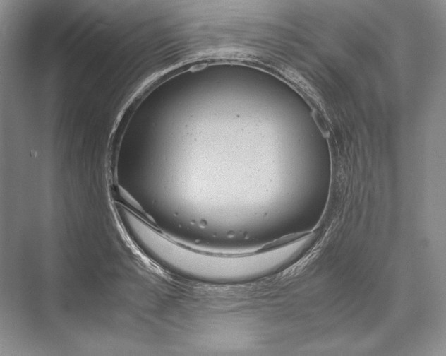 X0000072520989200608111715