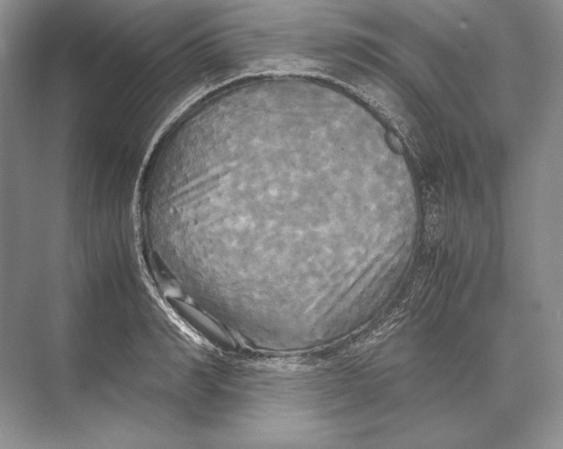 X0000072520990200608111715