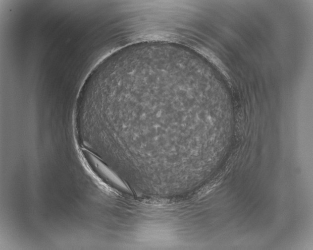 X0000072520991200608111715