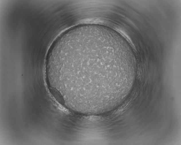 X0000072520992200608111715