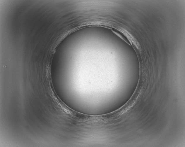 X0000072520993200608111715