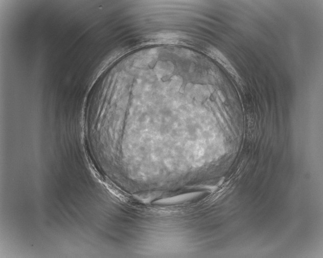 X0000072520994200608111715