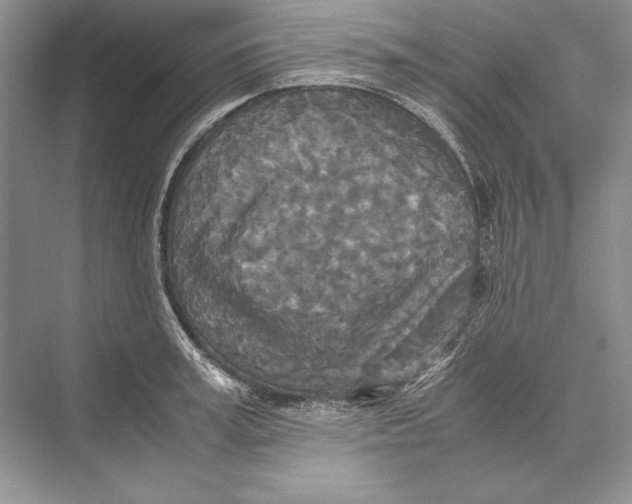 X0000072520995200608111715