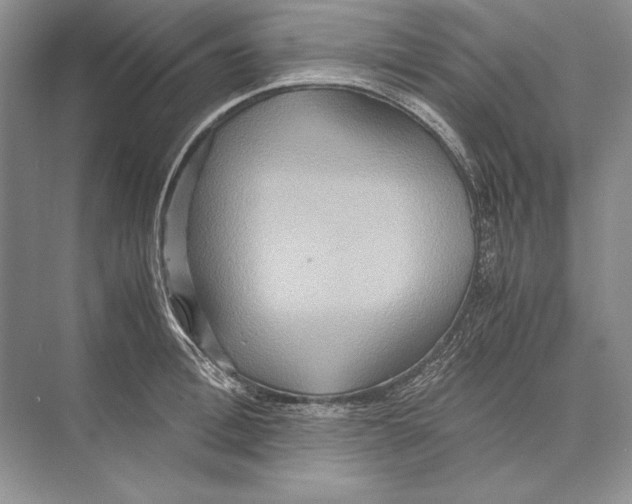 X0000072520996200608111715