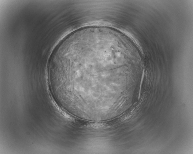 X0000072520998200608111715