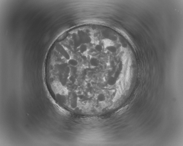 X0000072520999200608111715