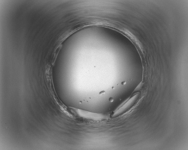 X0000072521001200608111715