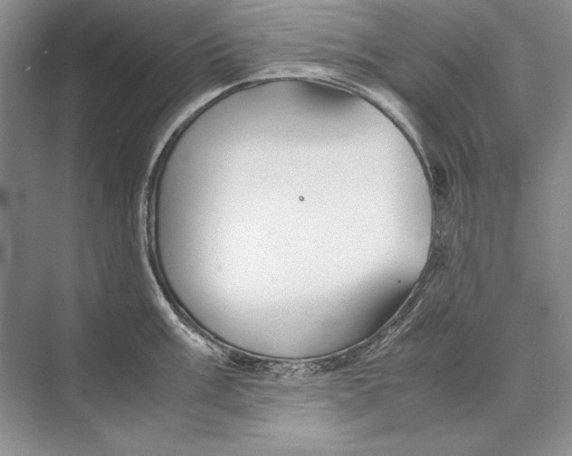 X0000072521003200608111715