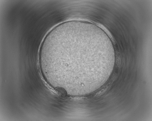 X0000072521004200608111715