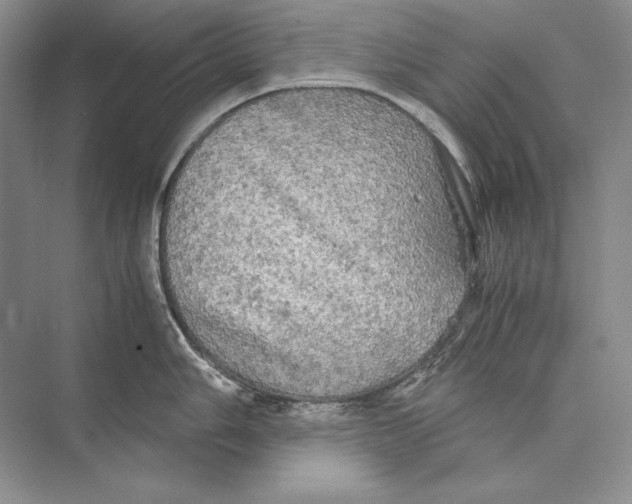 X0000072521006200608111715