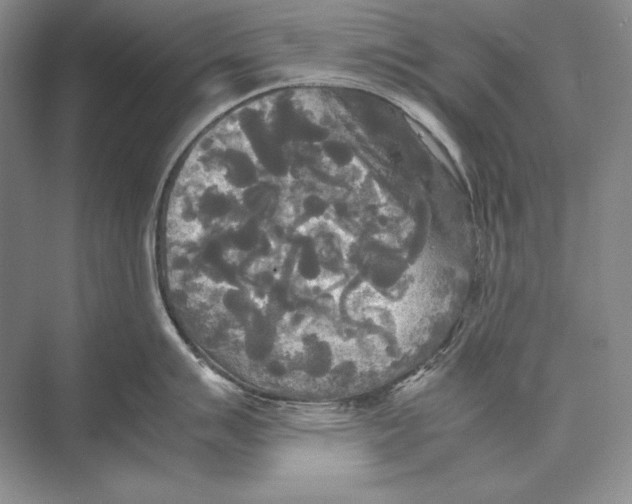 X0000072521007200608111715