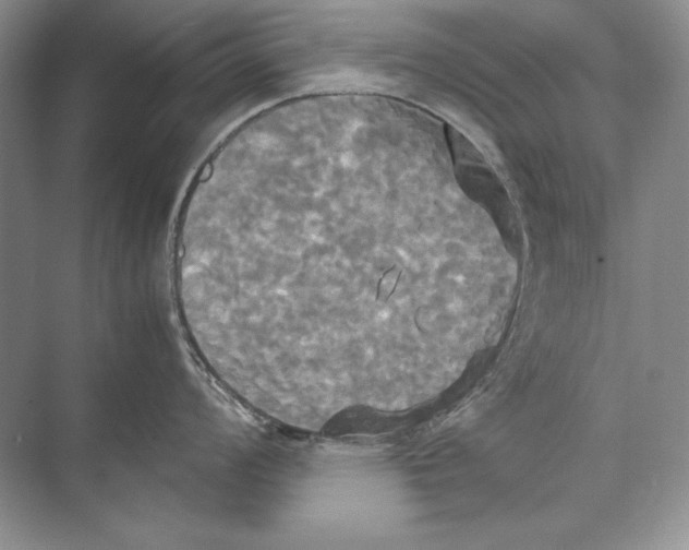 X0000072521008200608111715