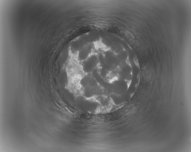 X0000072521009200608111714