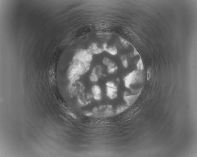 X0000072521011200608111714