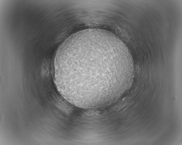 X0000072521012200608111714