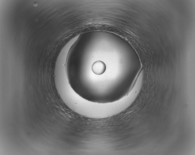 X0000072521014200608111714