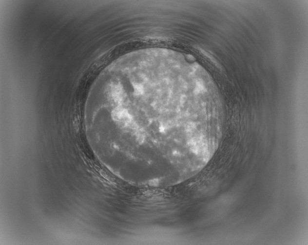 X0000072521015200608111714