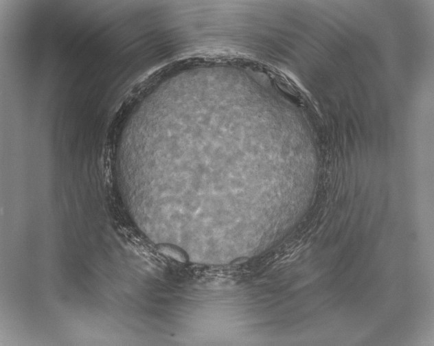 X0000072521016200608111714