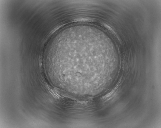 X0000072521017200608111714