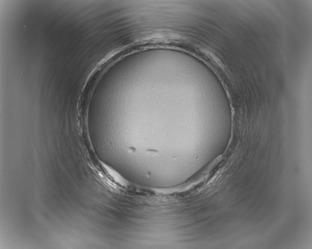 X0000072521018200608111714