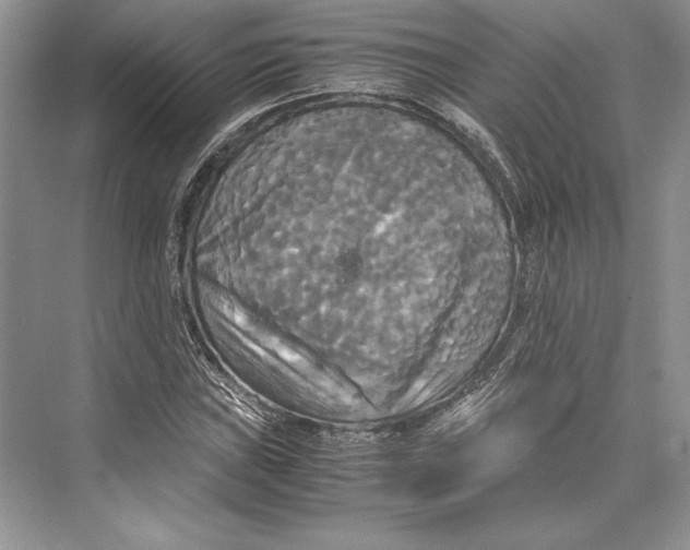 X0000072521019200608111714