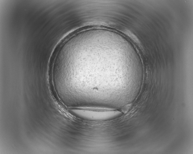 X0000072521020200608111714