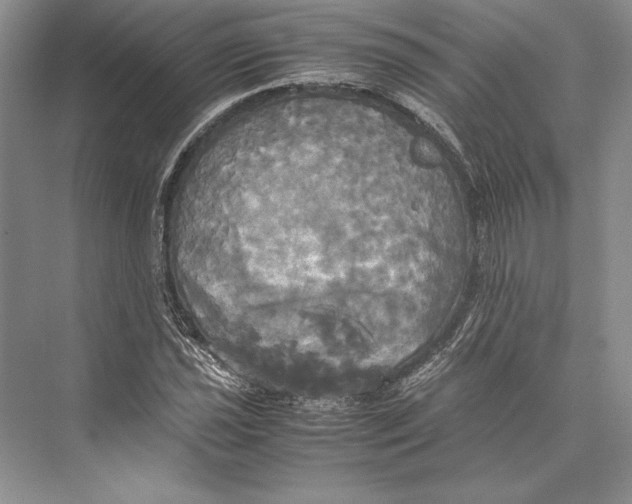 X0000072521021200608111714