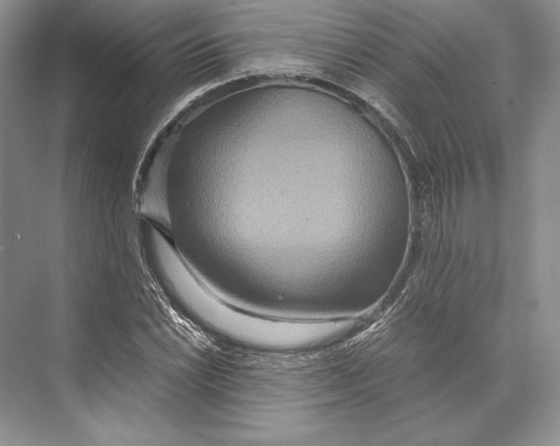 X0000072521022200608111714