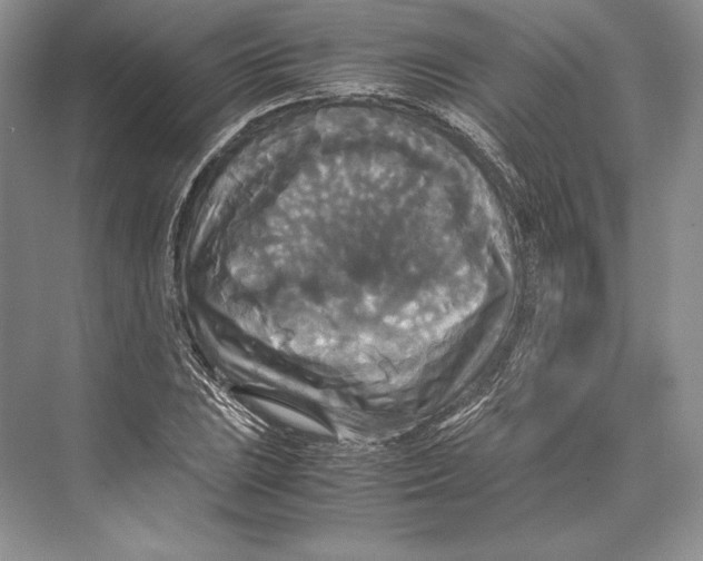 X0000072521023200608111714