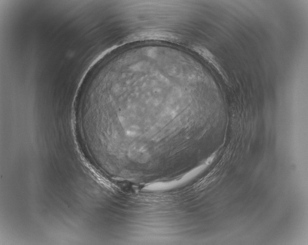 X0000072521024200608111715