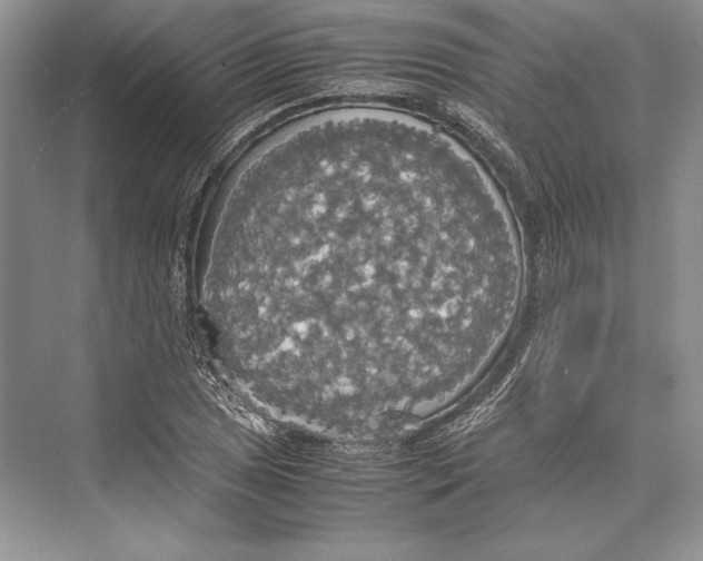 X0000072521025200608111715