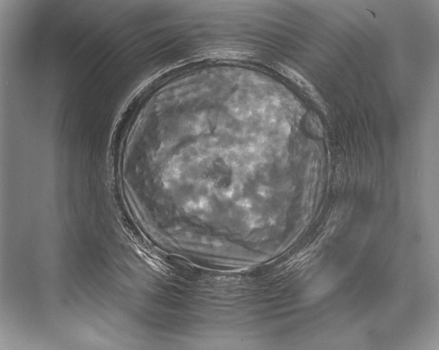 X0000072521027200608111715