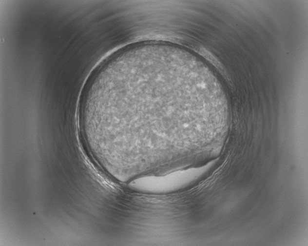 X0000072521028200608111715