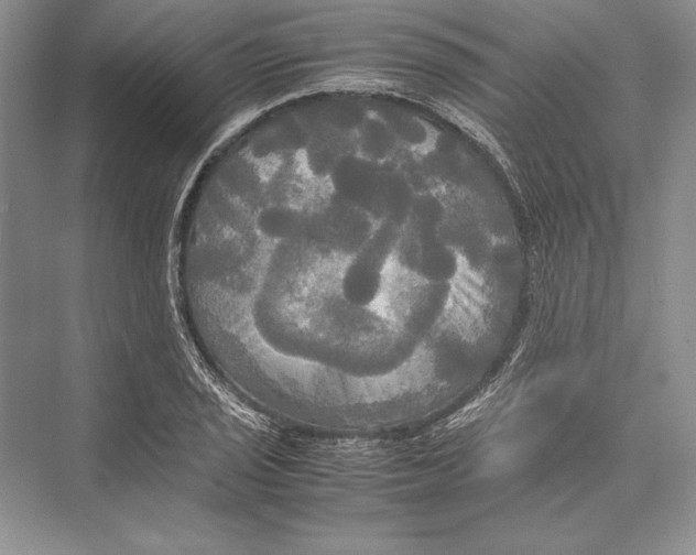 X0000072521029200608111715