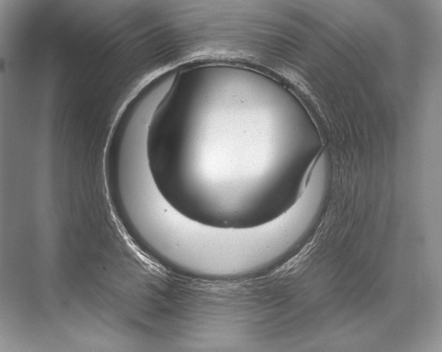 X0000072521030200608111715