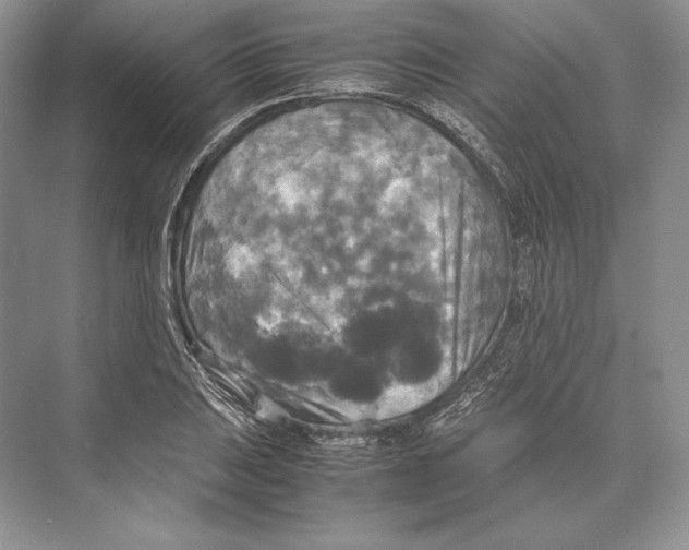 X0000072521031200608111715