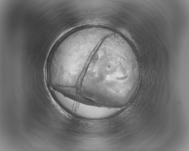 X0000072521032200608111715